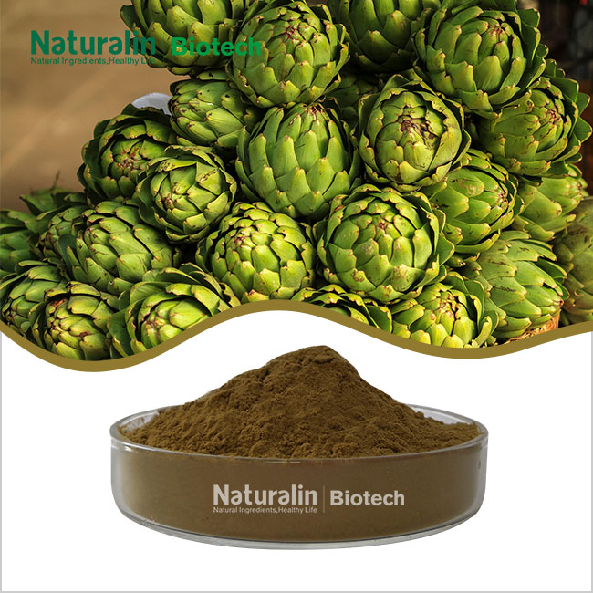 Artichoke Extract Powder Artichoke Extract Powder